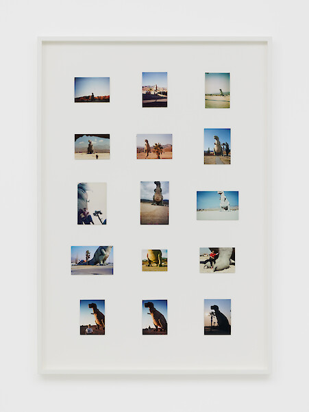 *Ages (Cretaceous)*, 2022, 15 found photos dating from 1986–2008, 118 x 82.3 x 5 cm