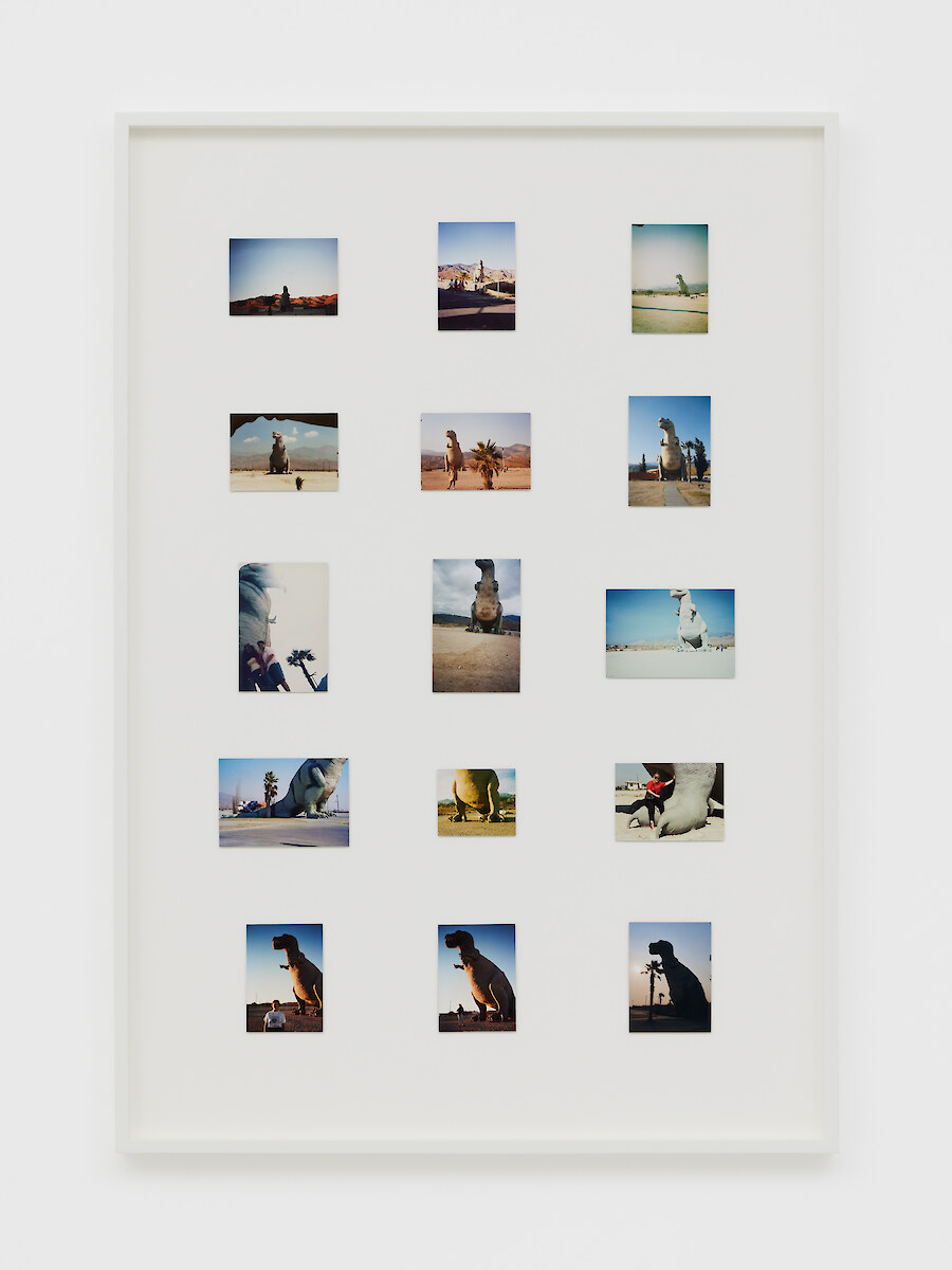 *Ages (Cretaceous)*, 2022, 15 found photos dating from 1986–2008, 118 x 82.3 x 5 cm