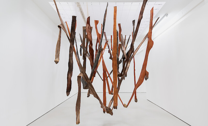 Marlene Almeida, installation view