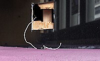 Rose Salane, Public Works: Act I, news image