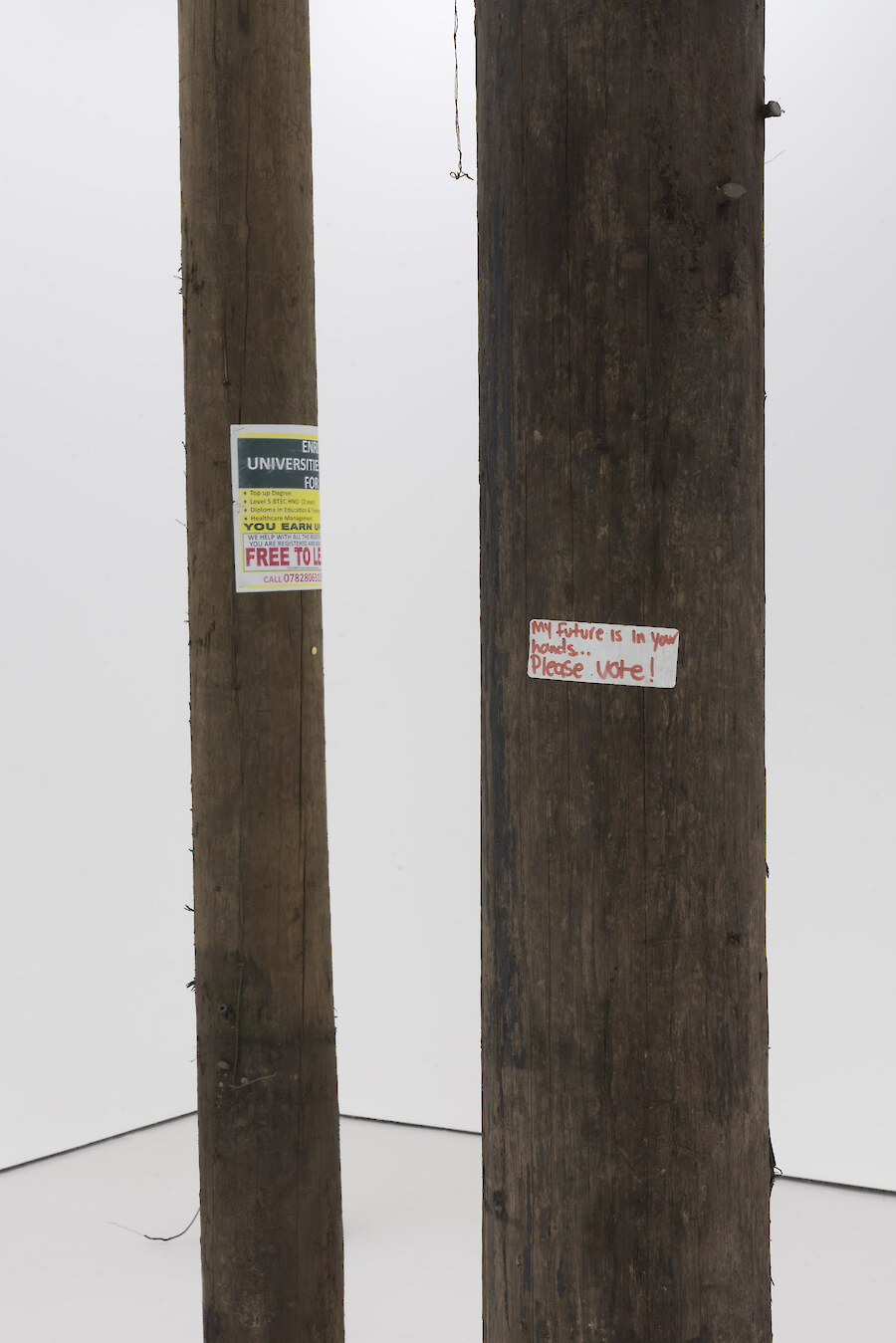 Installation View, Lloyd Corporation, *Person to Person*, 2020