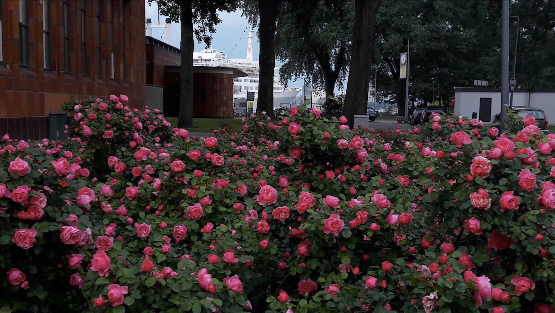 Evelyn Taocheng Wang, *Hospital Conversations*, 2018, 14:05 min video (still)