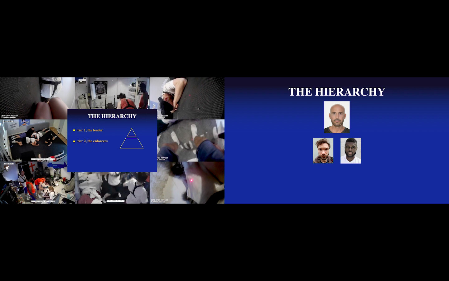 *Cel*, 2019, Video Still