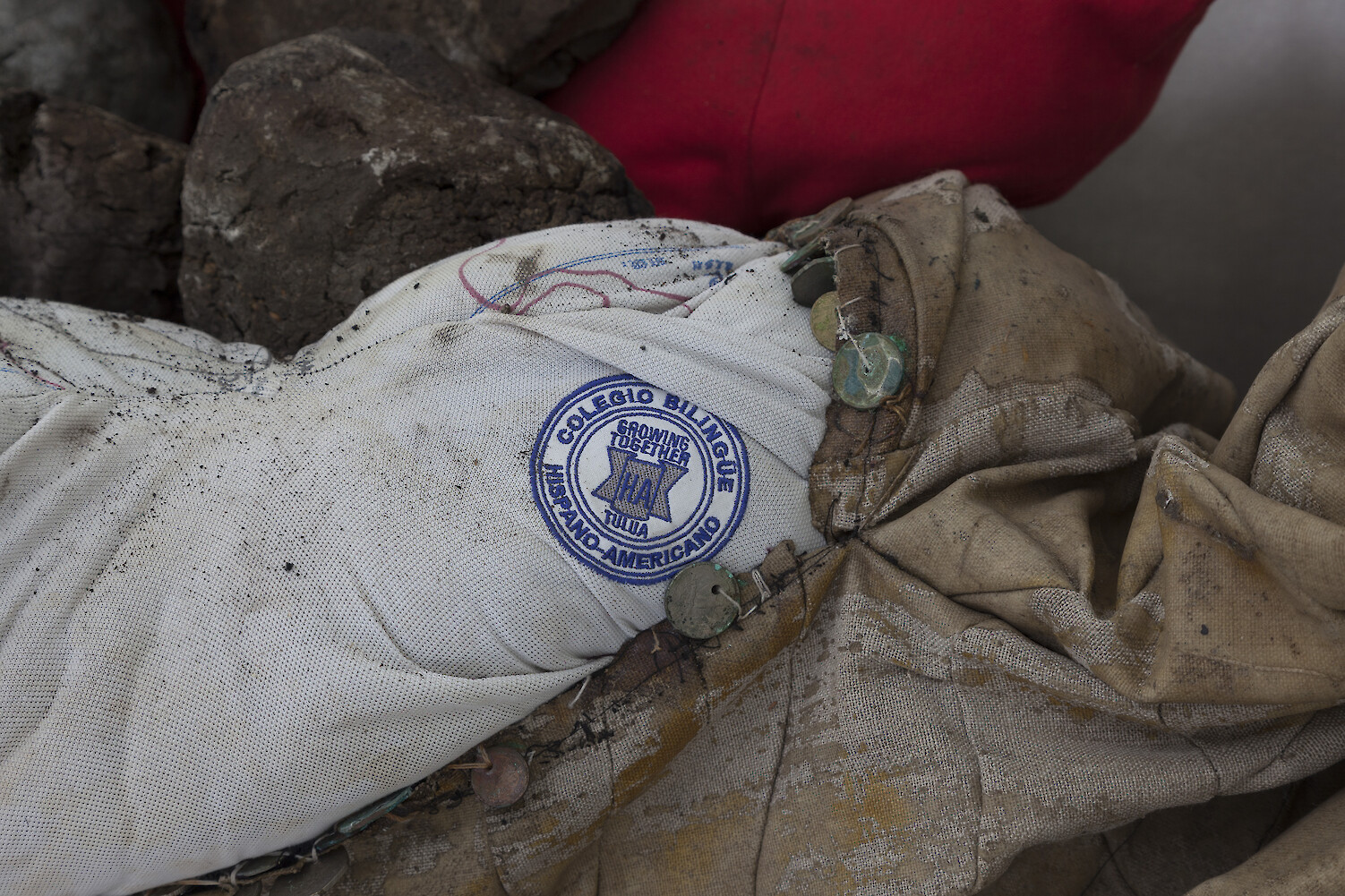 Detail View, *collective conscience*, 2015 – ongoing, Oil, latex, linen, printed canvas, velvet, coins, cotton t-shirts filled with recycled foam, corn and clay sculptures, Dimensions variable