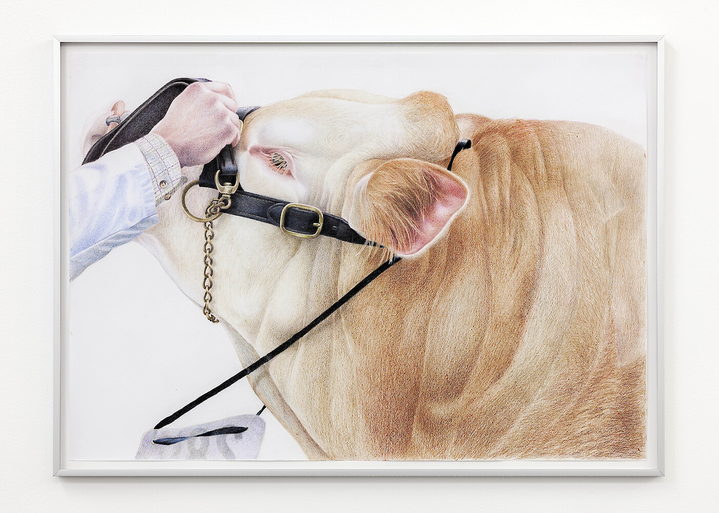 *Lower Croft Nimrod*, 2018, coloured pencil on paper, 64 x 88.5 x 2.5 cm