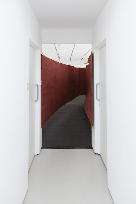 *li(f)e*, 2018, Installation view