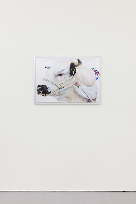 Stuart MiddletonNorton Jingo, 2020

Coloured pencil on paper
59.4 x 84.1 cm (23 3/8 x 33 1/8 in); 64 x 88.5 x 2.5 cm (25 1/4 x 34 7/8 x 1 in) framed
(CI-SM-0094)
£8,000 + VAT

Additional Views, artwork