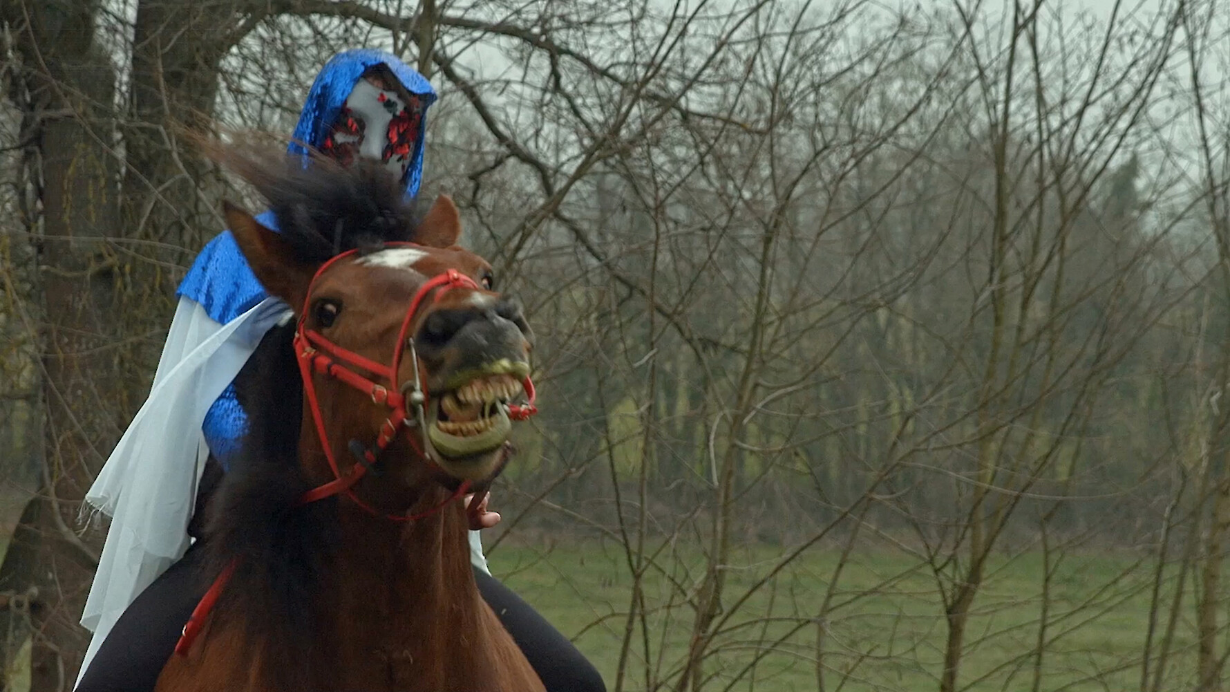 *Saturnine* (film still), 2016, 31:45 min HD video