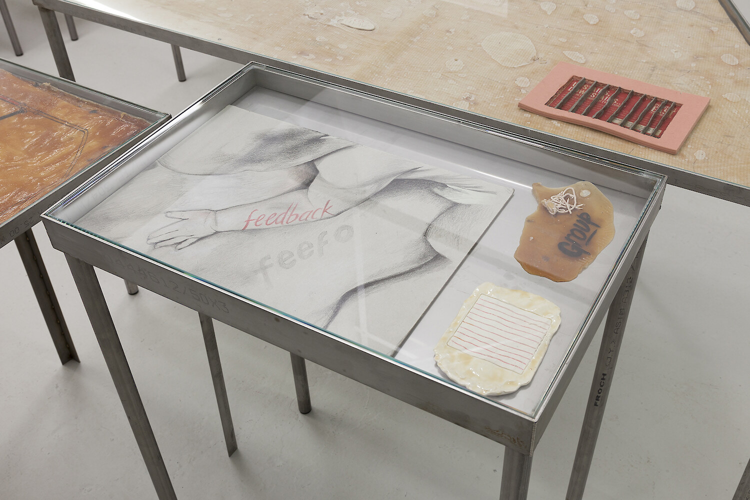 *Feedback*, 2016, Stainless steel vitrine table, Latex, Plastecine, Polymer clay, Shellac, Biro, Marker, Card, Pencil, 77.5 x 40 x 60 cm