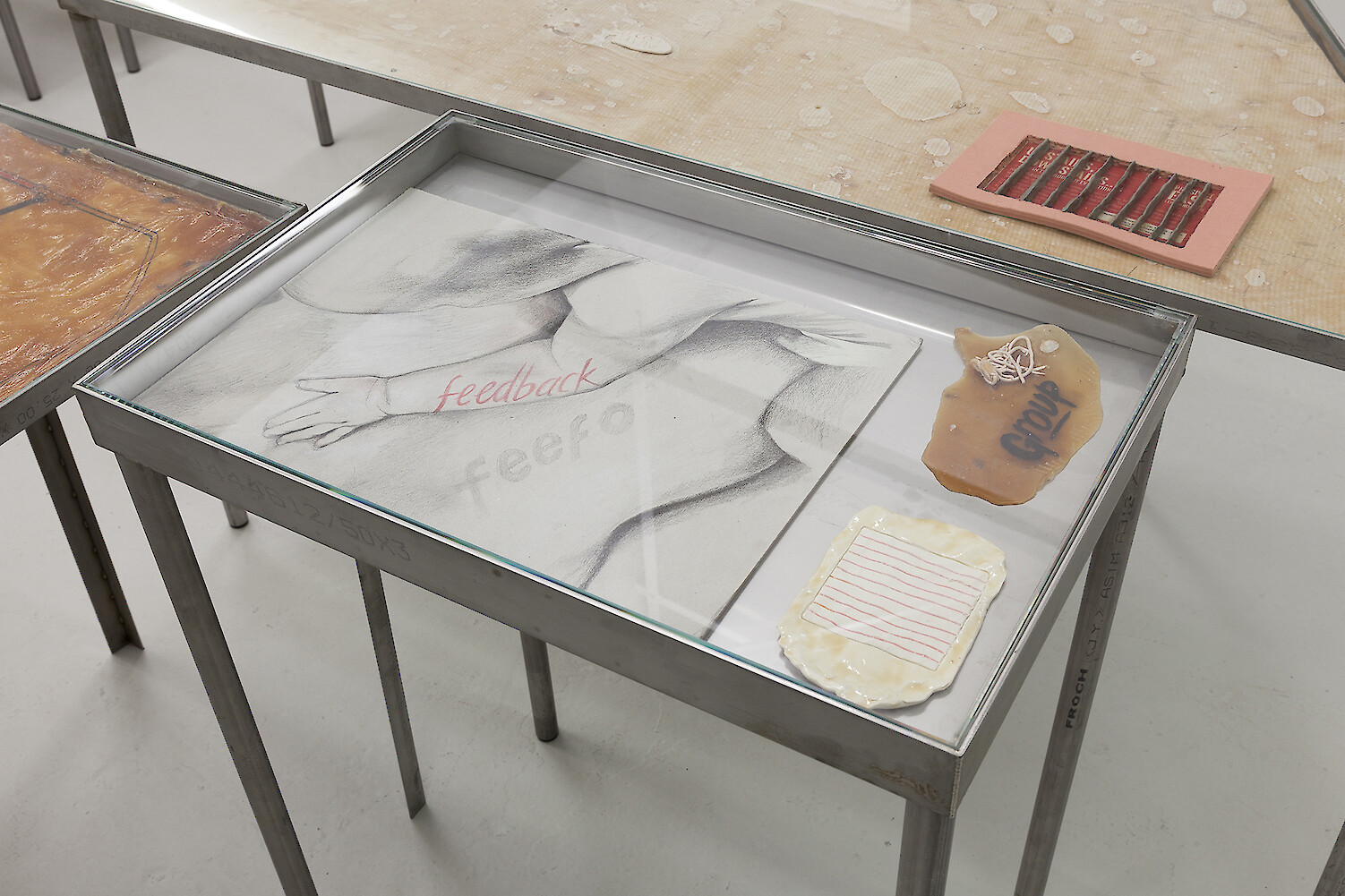 *Feedback*, 2016, Stainless steel vitrine table, Latex, Plastecine, Polymer clay, Shellac, Biro, Marker, Card, Pencil, 77.5 x 40 x 60 cm