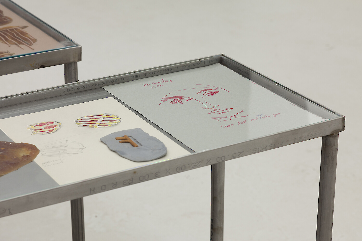 *Martyrs* (detail view), 2016, Stainless steel vitrine table, Latex, Corn, Beeswax, India ink, Polymer clay Ink, Pencil Paper, Newsprint, 76 x 142 x 36.5 cm