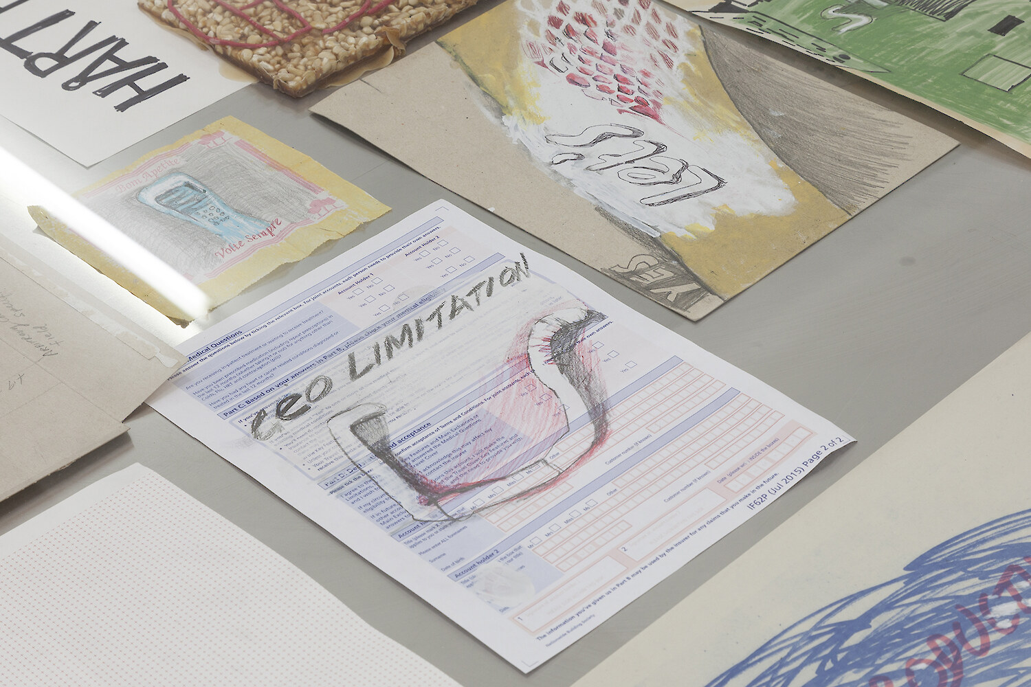 *Harte* (detail view), 2016, Stainless steel vitrine table, Plasteline, Polymer clay, Fruit net, Cereal box, Shellac, Corn, Latex, Correction fluid, Serviette, Ink, Pencil, Marker, Paper, Newsprint, Card, 79 x 110 x 120 cm