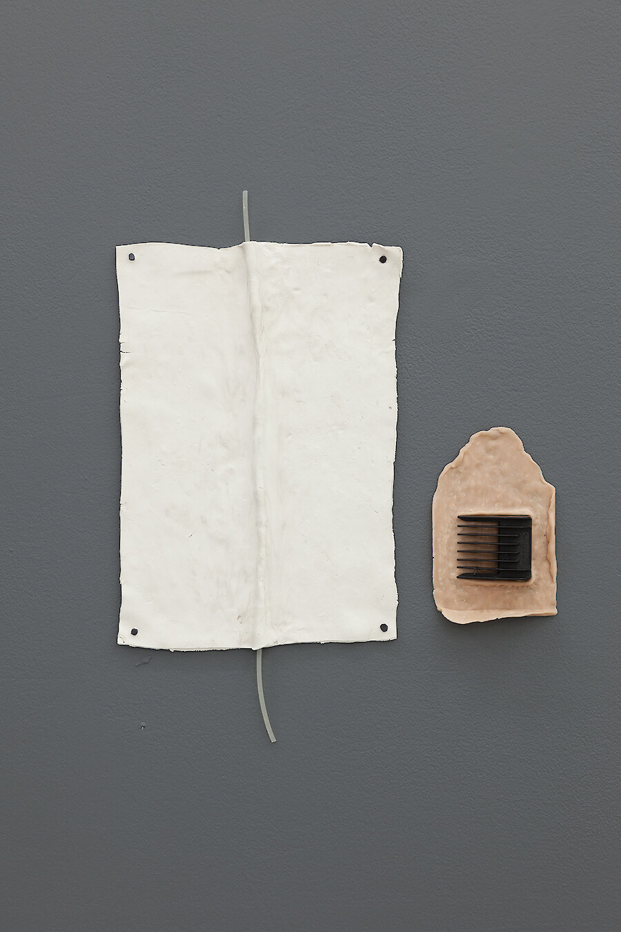 *Drive*, 2016, Polymer clay, Catheter, clipper attachment, Steel cut tacs, 43 x 34 cm