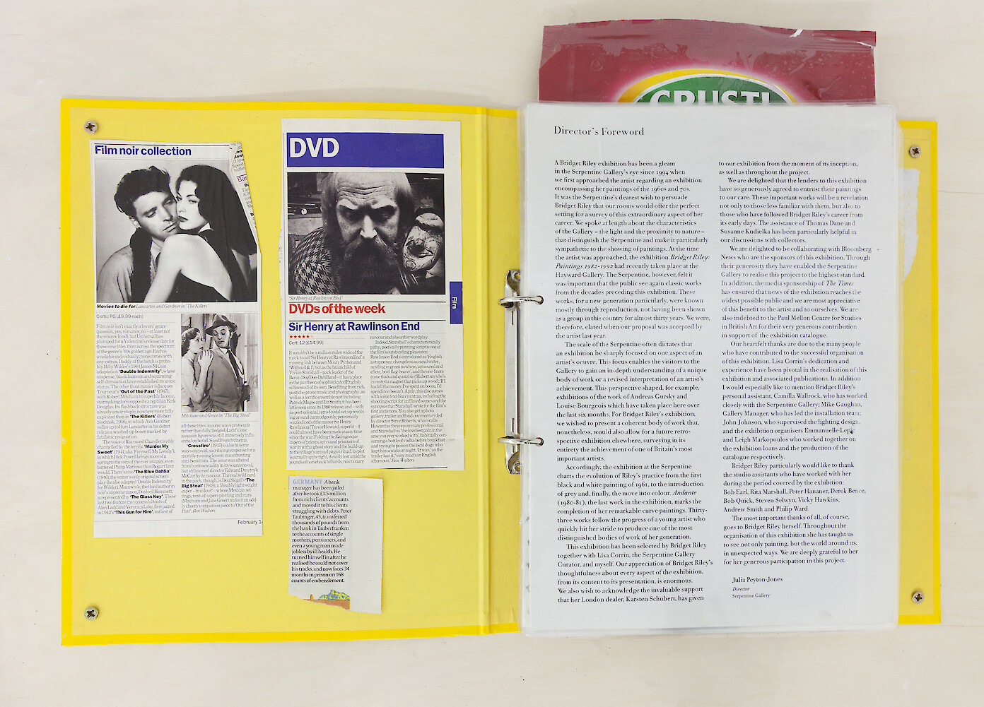 *director’s foreword*, 2016, Ringbinder with laminated mixed media, 32 x 53 cm