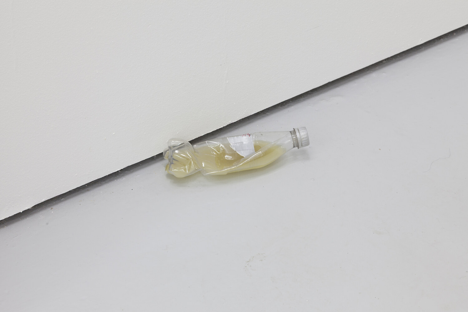Stuart Middleton, *piss bottles*, 2014, Plastic bottles, resin, cigarettes