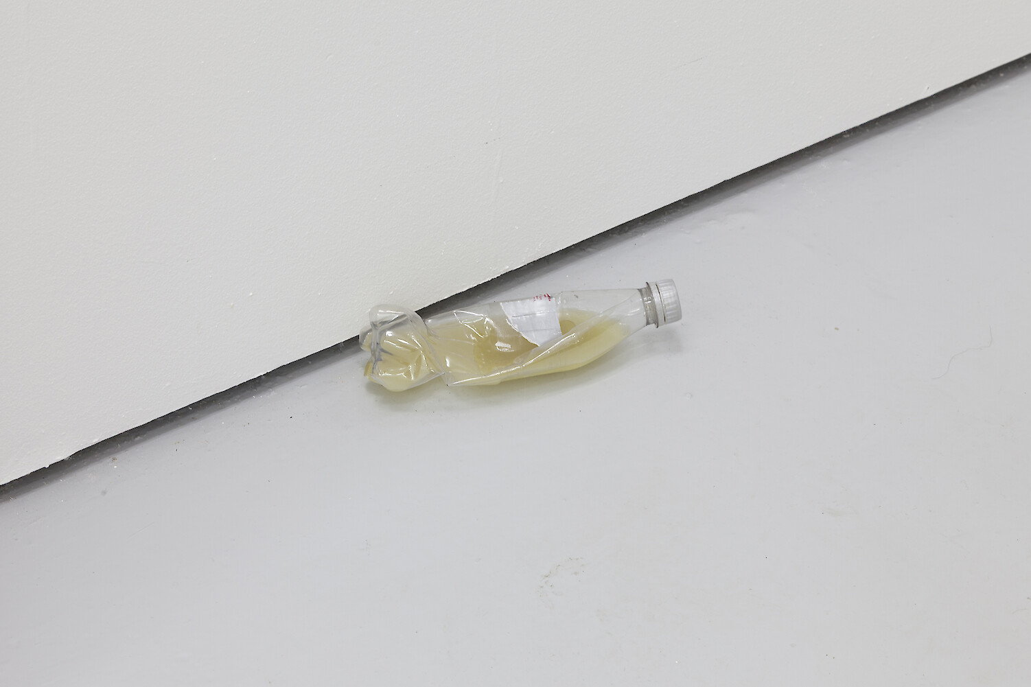 Stuart Middleton, *piss bottles*, 2014, Plastic bottles, resin, cigarettes