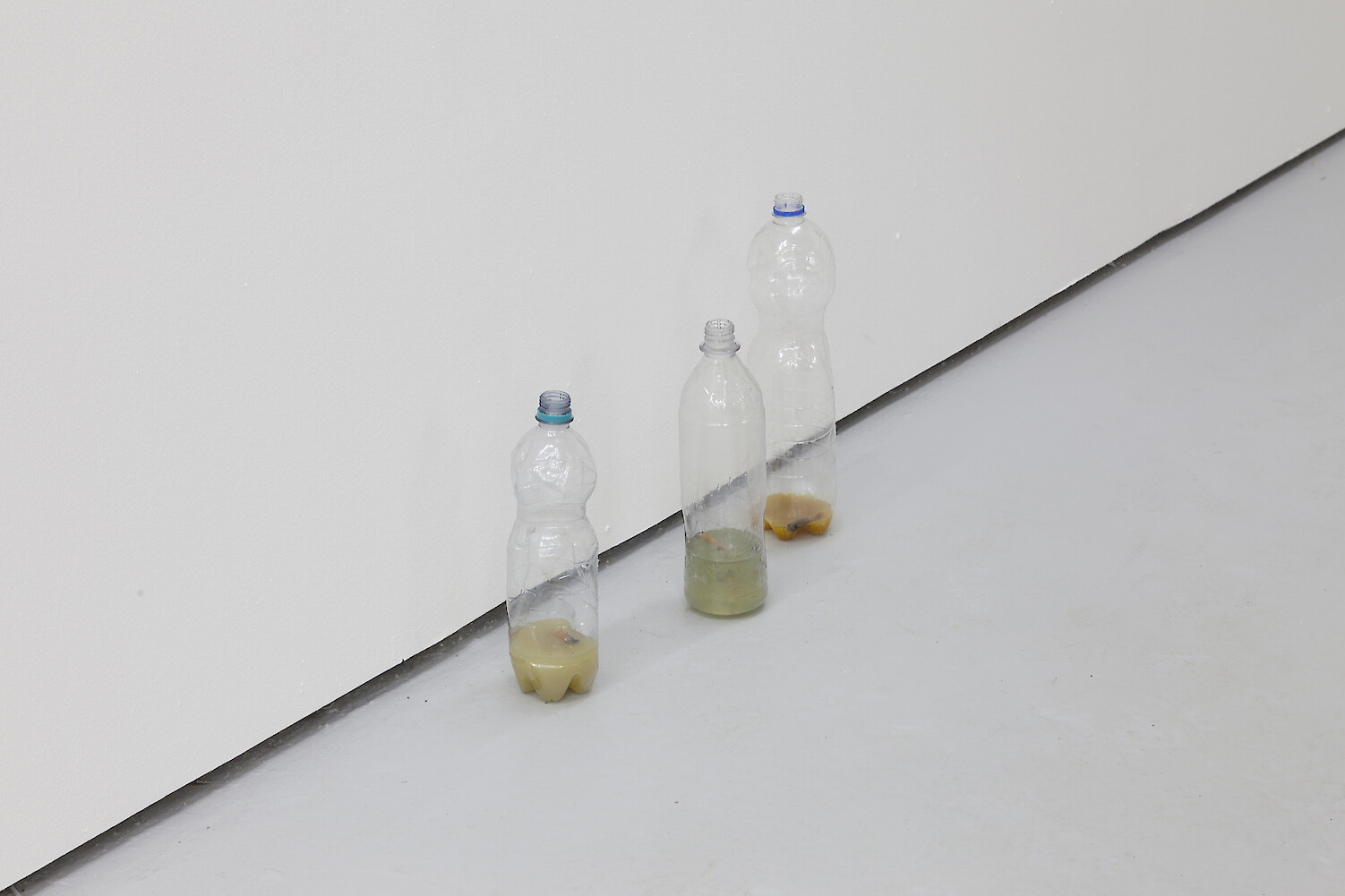 Stuart Middleton, *piss bottles*, 2014, Plastic bottles, resin, cigarettes