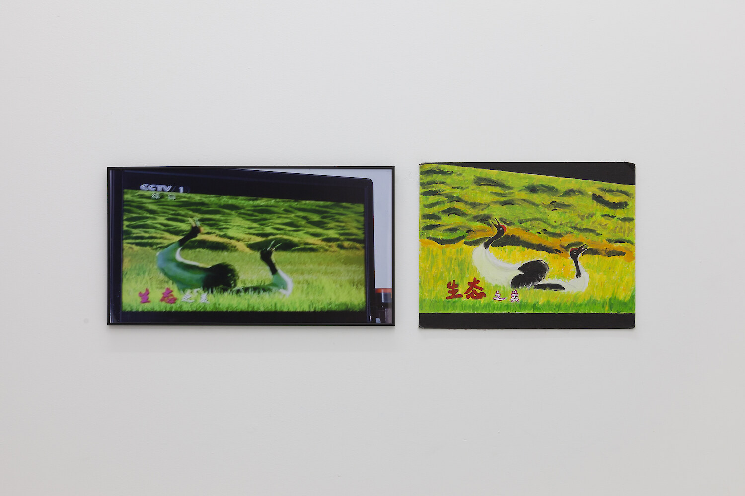 *TLYA 09_Duck CCTV/TLYA 10_Duck painting*, 2014, C-print and Acrylic on canvas, 33 x 60 cm and 34 x 45 cm
