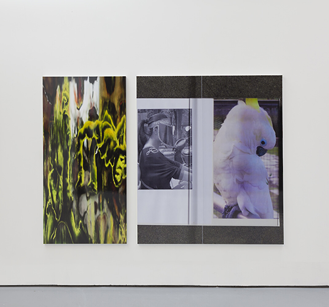 *TLYA 21_Minnie/TLYA 22_Lady Pink adjusted/TLYA 23_Famous replica*, 2014, Fujiflex on dibond and two digital prints on dibond 70 x 45 cm, 147 x 73.5 cm and 147 x 129 cm