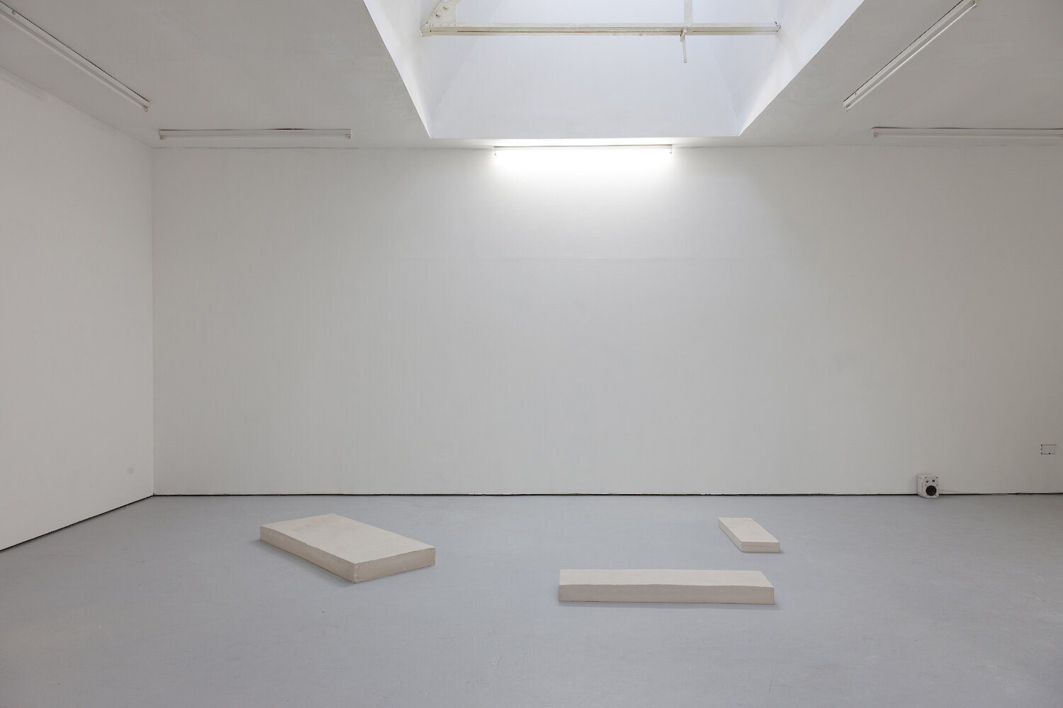*Release All Whales From Captivity*, 2013, Installation view