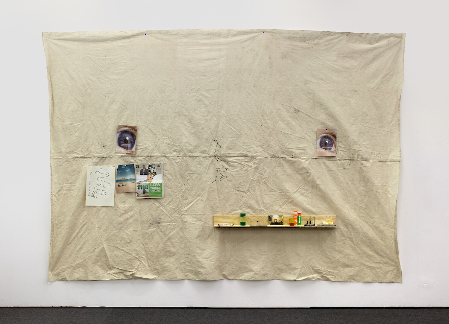 *eye-monster*, 2013, mixed media, 260 x 394 x 17 cm