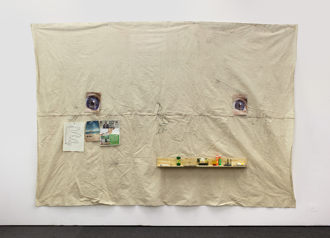 *eye-monster*, 2013, mixed media, 260 x 394 x 17 cm