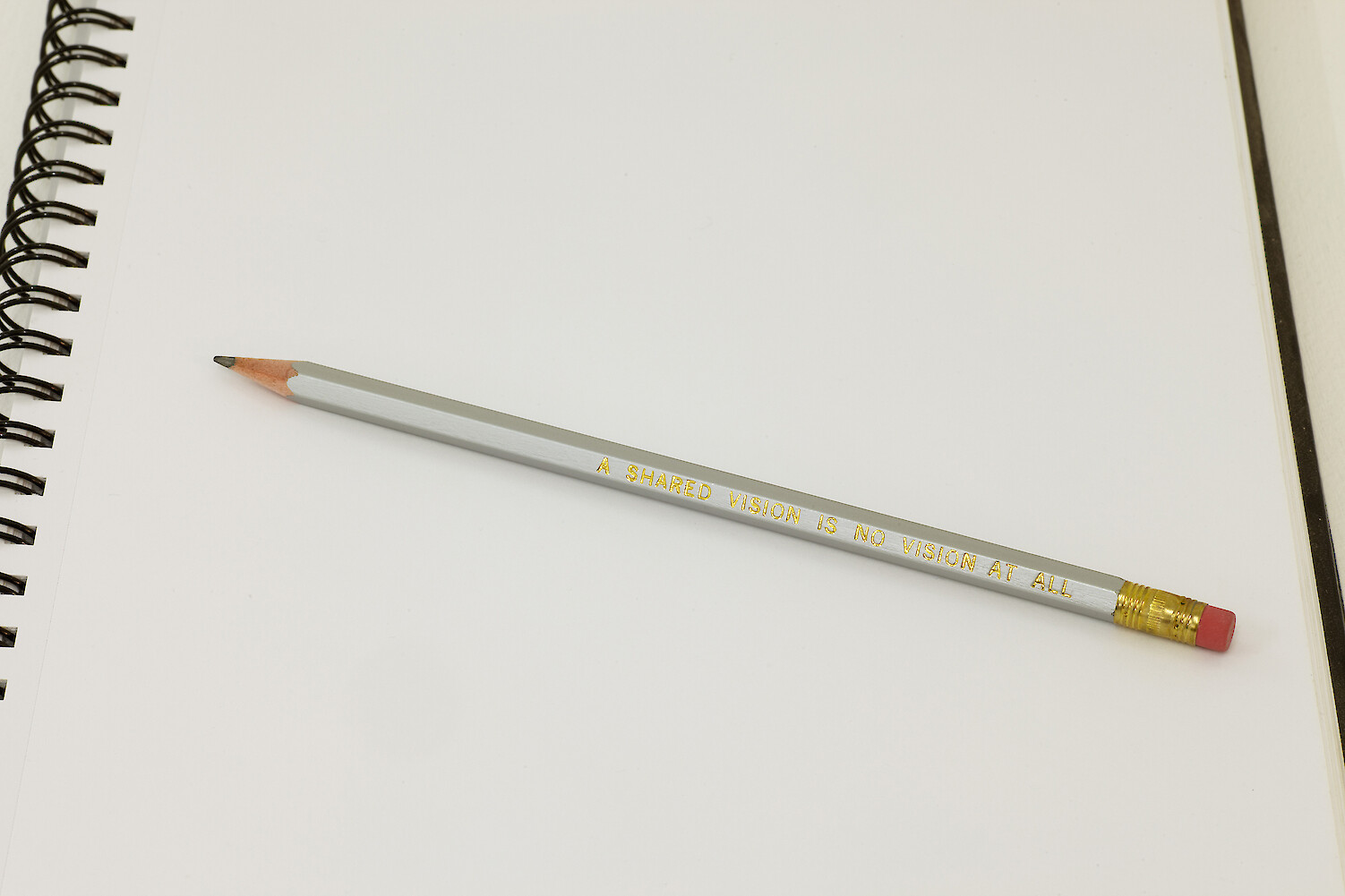 *A Shared Vision is No Vision At All*, 2013, Imprinted pencil