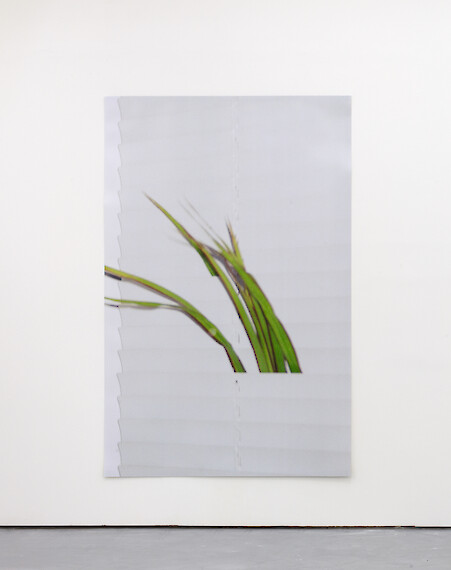 Bruno Zhu, *Untitled*, 2012, C-type print, 185 x 127 cm, Edition of 3