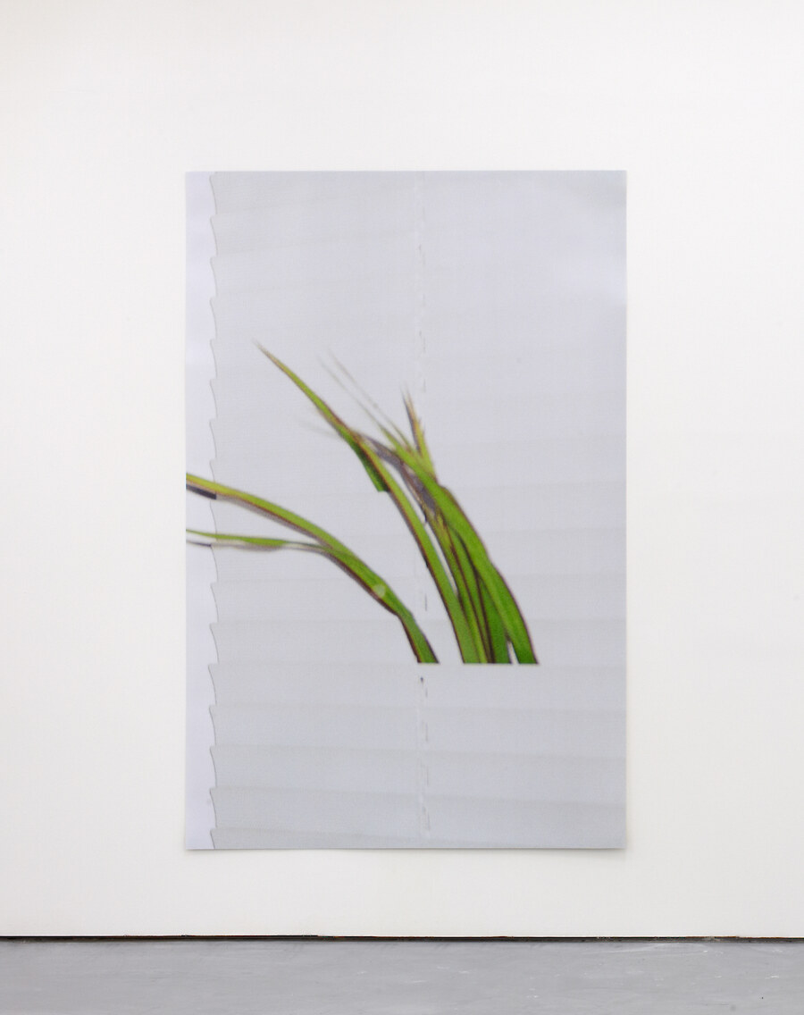 Bruno Zhu, *Untitled*, 2012, C-type print, 185 x 127 cm, Edition of 3