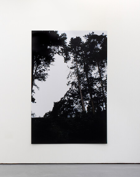 Bruno Zhu, *Untitled*, 2012, C-type print, 185 x 127 cm, Edition of 3