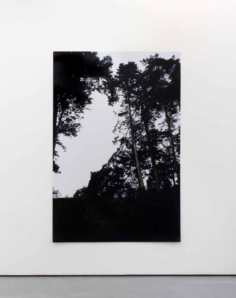 Bruno Zhu, *Untitled*, 2012, C-type print, 185 x 127 cm, Edition of 3