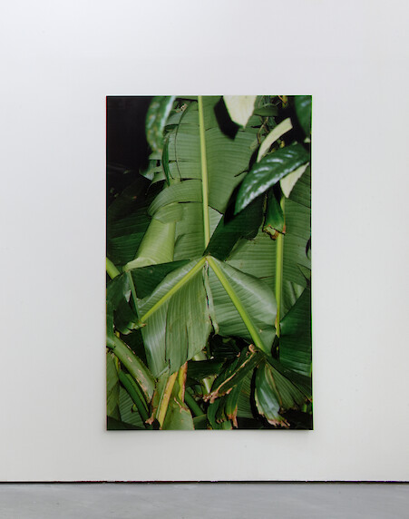 Bruno Zhu, *Untitled*, 2012, C-type print, 185 x 127 cm, Edition of 3