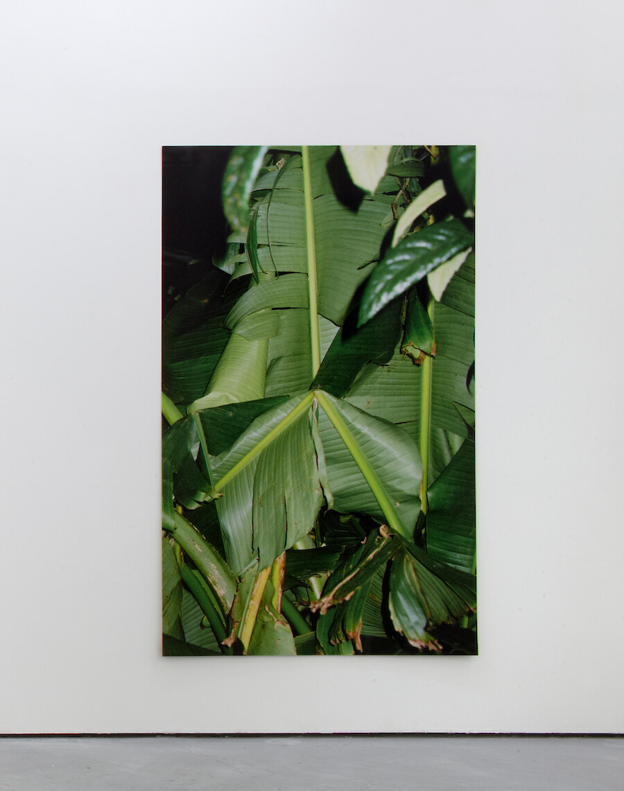 Bruno Zhu, *Untitled*, 2012, C-type print, 185 x 127 cm, Edition of 3