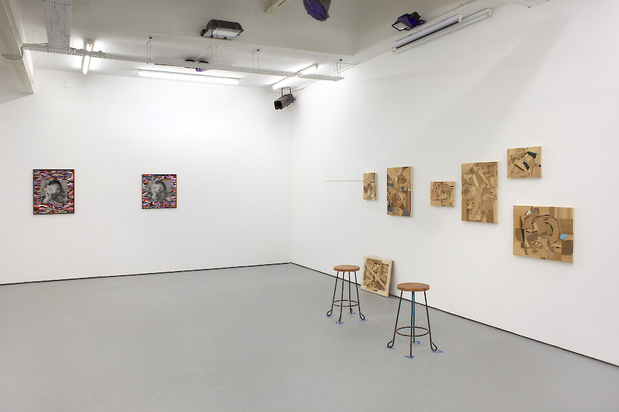 *A Trusted Friend*, 2012, Installation view