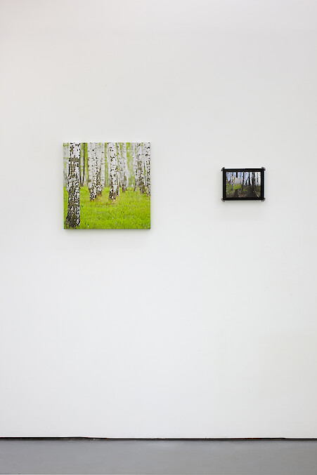 Katja Novitskova, *Next Best Thing To Being There*, 2012, Installation