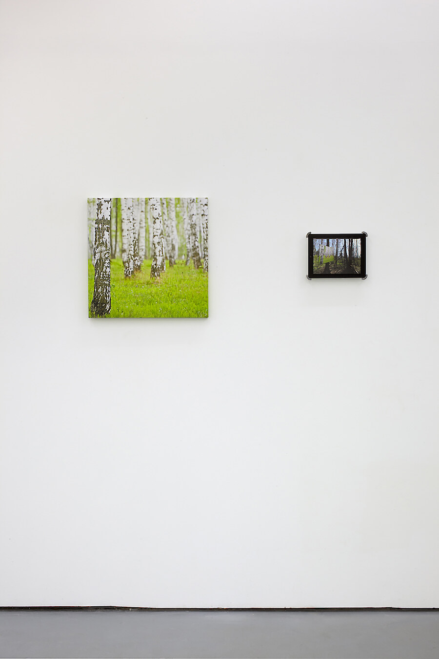 Katja Novitskova, *Next Best Thing To Being There*, 2012, Installation