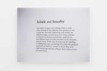 Marie AngelettiObsession, Schiele and Sexuality, Met Breuer, September 2018, 2020

C-print mounted on glass
45 x 60 cm
17 3/4 x 23 5/8 in
Edition 1 from an Edition of 2 + I AP
(CI-MA-0160)

Additional Views, artwork