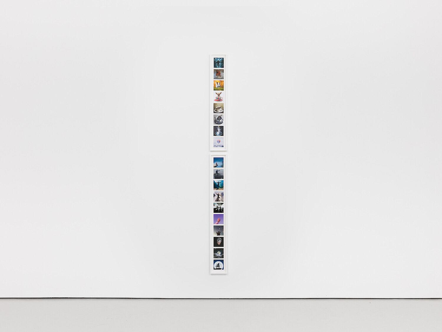 *Pickles: The Dog Who Won the World Cup; The Reason I Jump,* 2021, Large format inkjet print on semi gloss photographic paper, mount board with multi aperture windows, overall installed: 242 x 19 x 4 cm