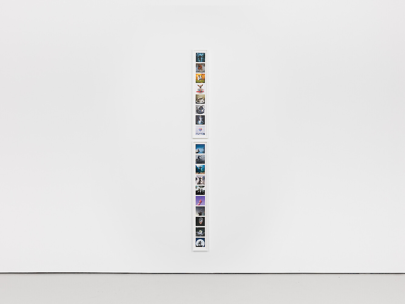 *Pickles: The Dog Who Won the World Cup; The Reason I Jump,* 2021, Large format inkjet print on semi gloss photographic paper, mount board with multi aperture windows, overall installed: 242 x 19 x 4 cm