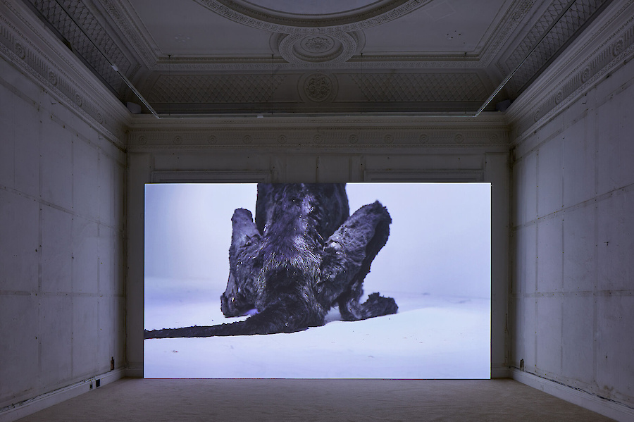 Stuart Middleton, *Beat*, [Installation View] Institute of Contemporary Arts (ICA), London, 2017