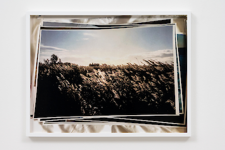 Tosh Basco
Still life Arles, 2021

C-Print mounted on aluminium
32.5 x 42.6 x 3.3 cm
Unique
$3,500 + VAT

Additional Views, artwork