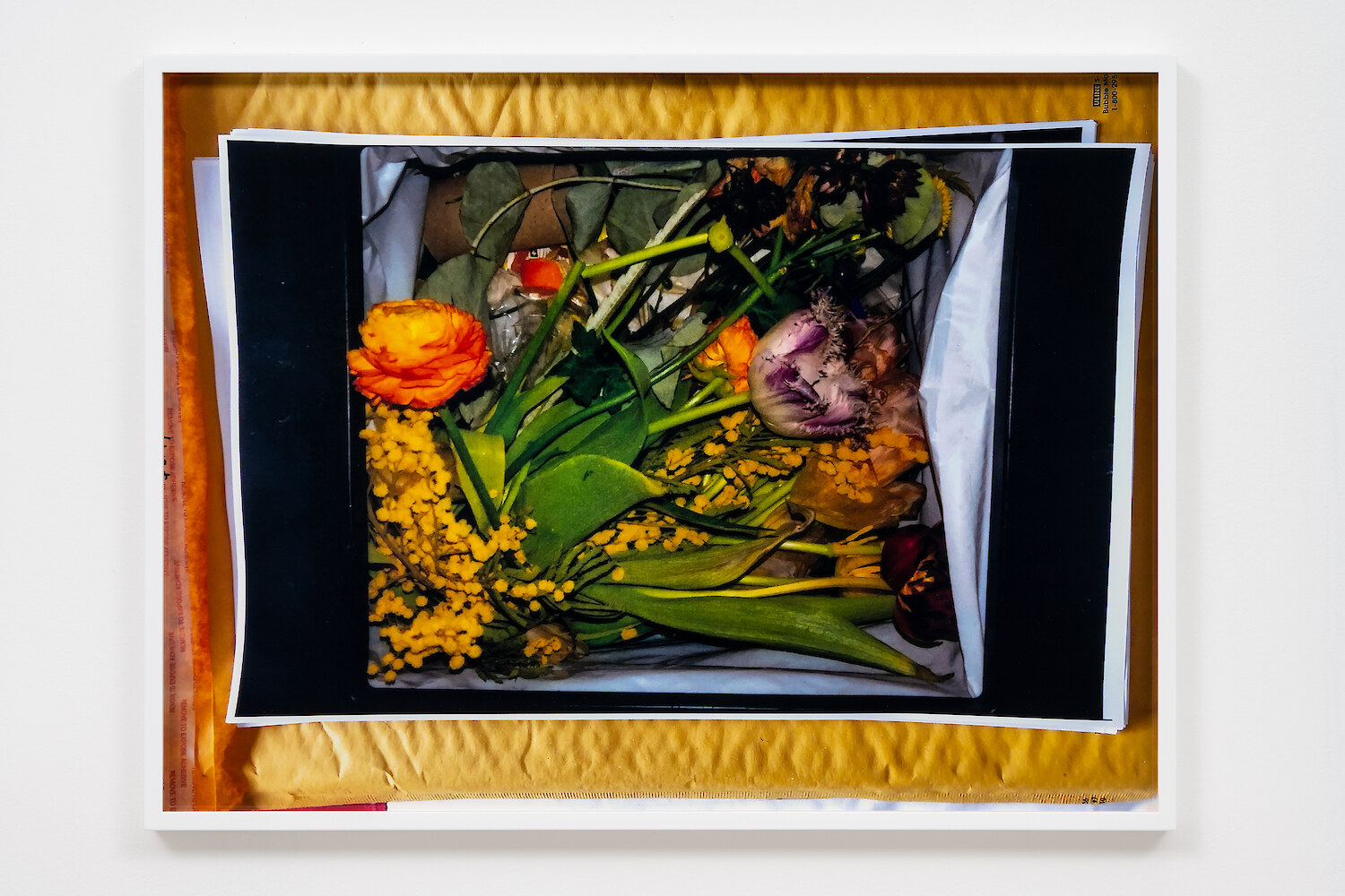 *Window*, 2021, C-Print mounted on aluminium, Unique, 42.6 x 56.2 x 3.3 cm