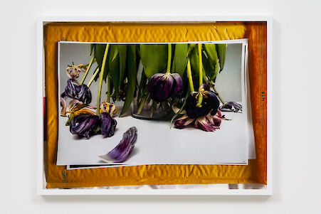 Tosh Basco
Still Life ?, 2021

C-Print mounted on aluminium
32.5 x 42.6 x 3.3 cm
Unique

Additional Views, artwork
