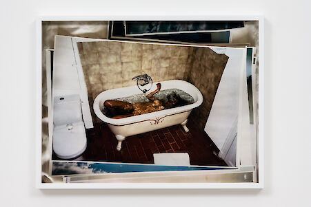 Tosh Basco
Safi still life, 2021

C-Print mounted on aluminium
32.5 x 42.6 x 3.3 cm
Unique

Additional Views, artwork