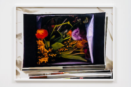 Tosh Basco
Glimpse, 2021

C-Print mounted on aluminium
42.6 x 56.2 x 3.3 cm
Unique

Additional Views, artwork