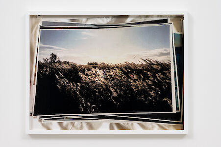 Tosh Basco
Still life Arles, 2021

C-Print mounted on aluminium
32.5 x 42.6 x 3.3 cm
Unique

Additional Views, artwork